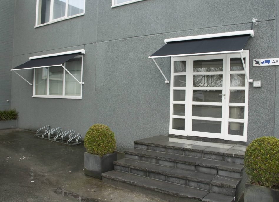 Gray building entrance with white-framed glass doors and two awnings above windows. Steps lead up to the door. Two trimmed bushes in square planters are on each side. Sign on the right wall.